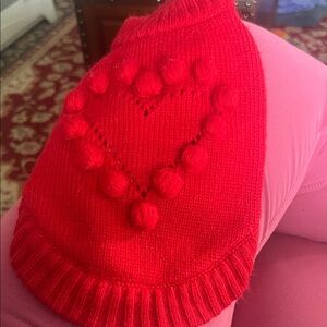 Red Heart Knit dog Sweater